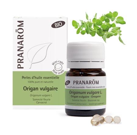 Kapsułki **Oregano / Origanum vulgare L.** kapsułki 60szt.*PRANARÔM*BIO suplement diety