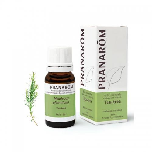 Olejek eteryczny **Drzewo herbaciane / Melaleuca alternifolia** 10ml*PRANARÔM*