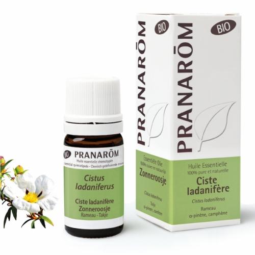 Olejek eteryczny **Labdanum / Czystek labdanowy / Cistus ladaniferus** 5ml*PRANARÔM*EKO 