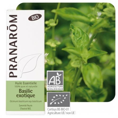 Olejek eteryczny bazyliowy **Bazylia / Ocimum basilicum ssp basilicum** 10ml*PRANARÔM*EKO