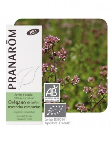 Olejek eteryczny oreganowy **Oregano / Origanum compactum** 10ml*PRANARÔM*BIO