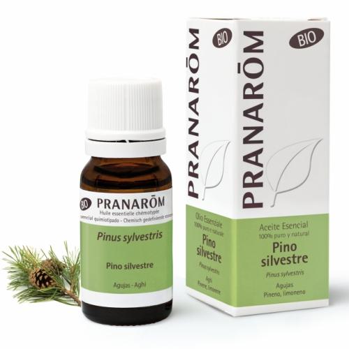 Olejek eteryczny sosnowy **Sosna zwyczajna / Pinus sylvestris** 10ml*PRANARÔM*BIO