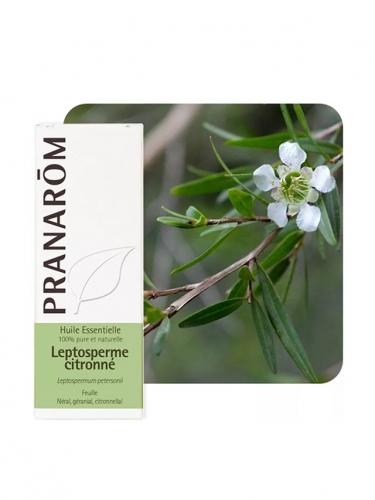 Olejek eteryczny **Drzewo herbaciane cytrynowe / Leptospermum petersonii** 5ml*PRANARÔM*